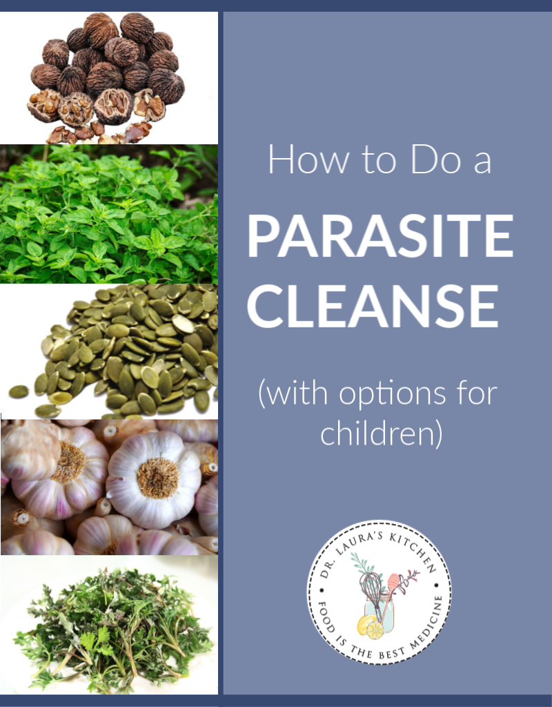 How To Do A Parasite Cleanse (with Options For Children) - Dr. Laura's ...